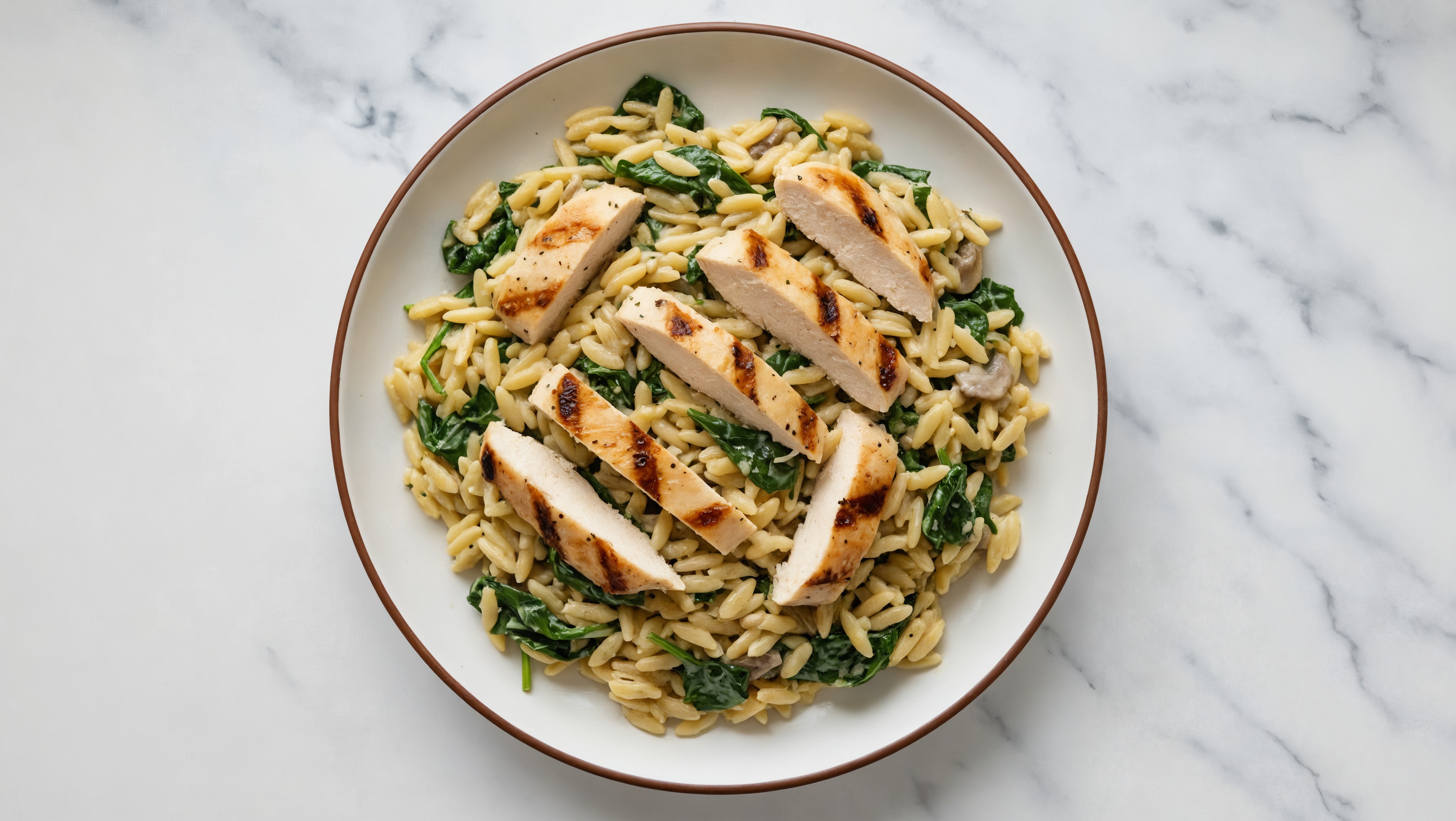 Grilled Seasoned Chicken Breast Orzo Truffle