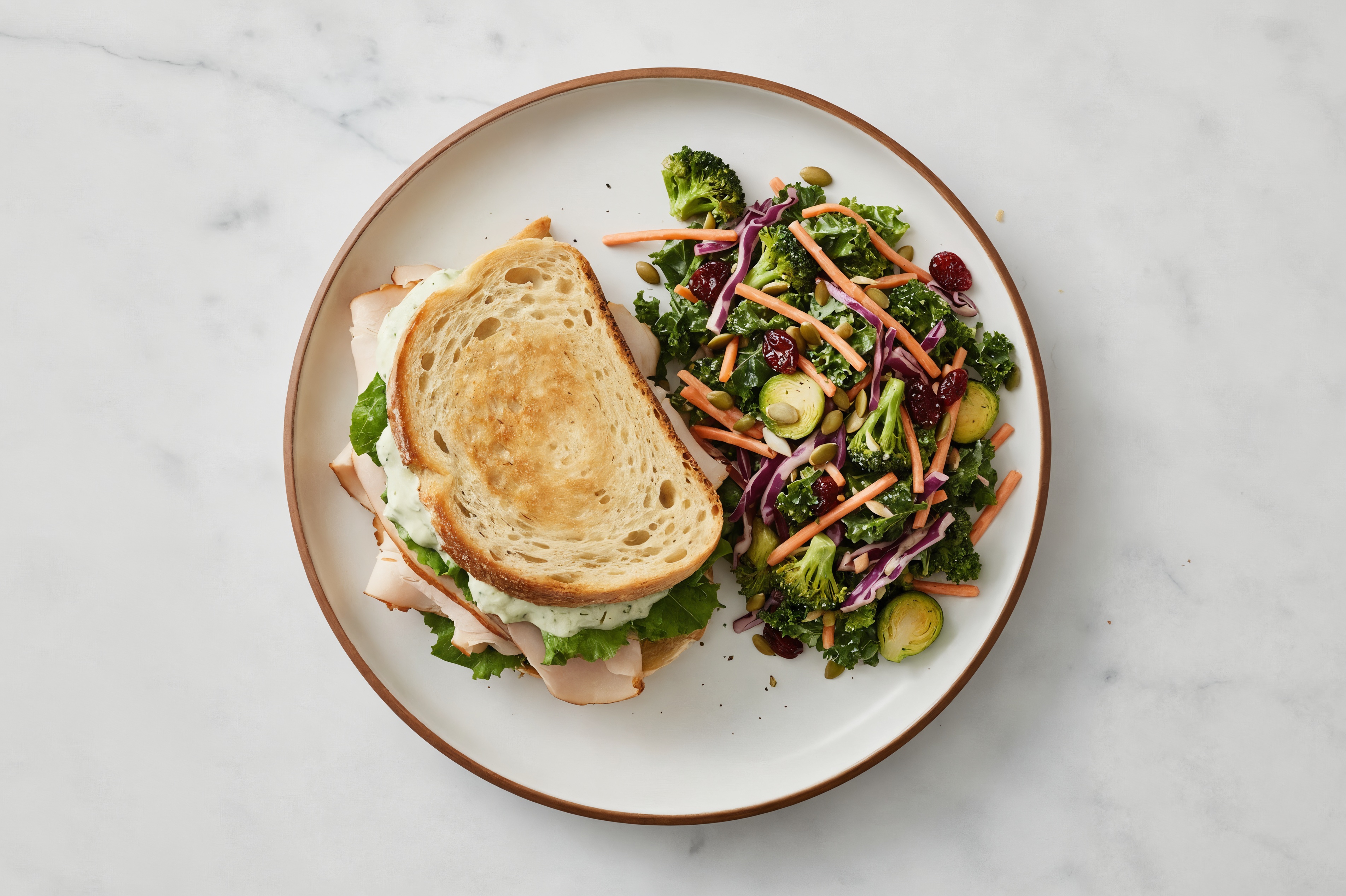 Oven Roasted Turkey Breast Sandwich with Creamy Pickle Sauce + Kale Salad