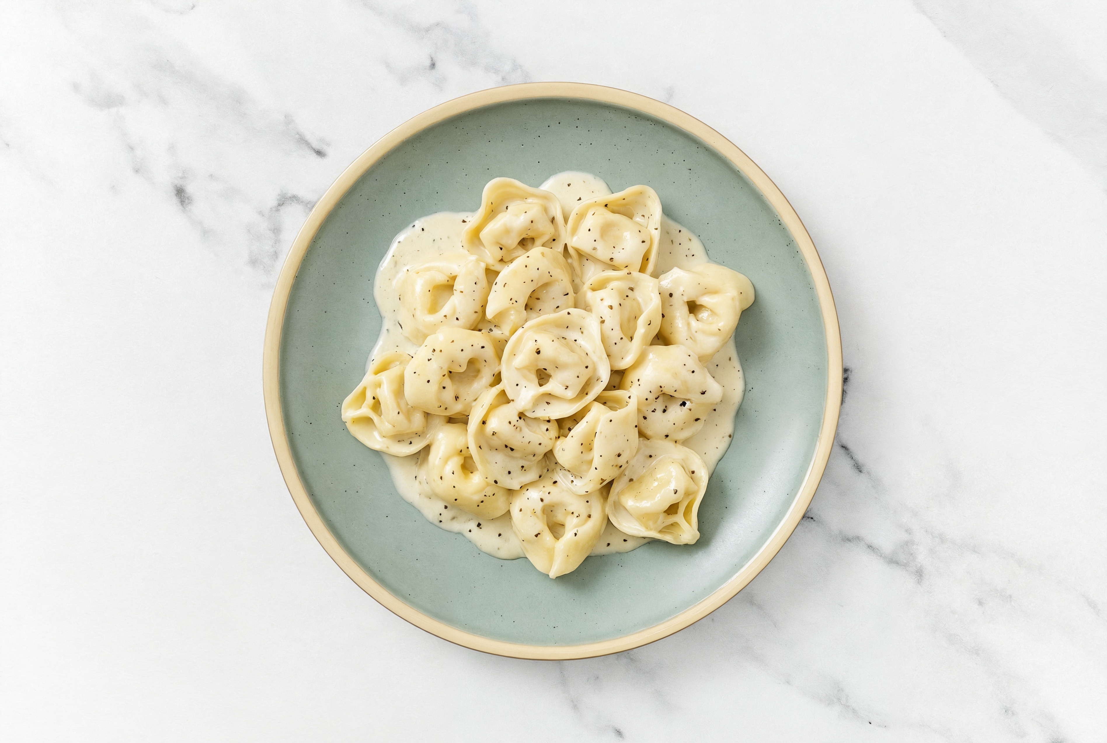 Cheese Tortelloni in Alfredo Sauce