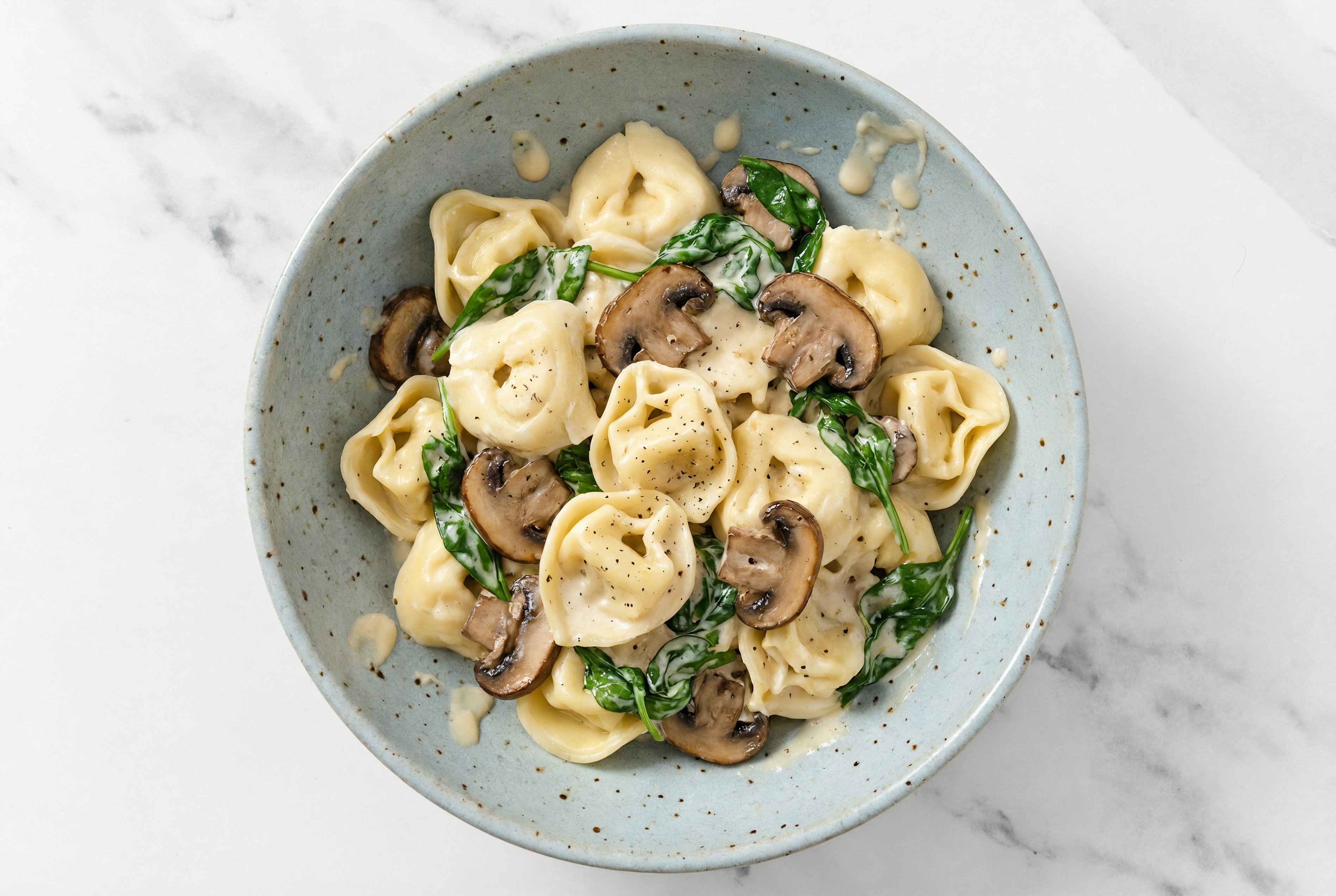 Creamy Organic Spinach + Mushroom Tortelloni