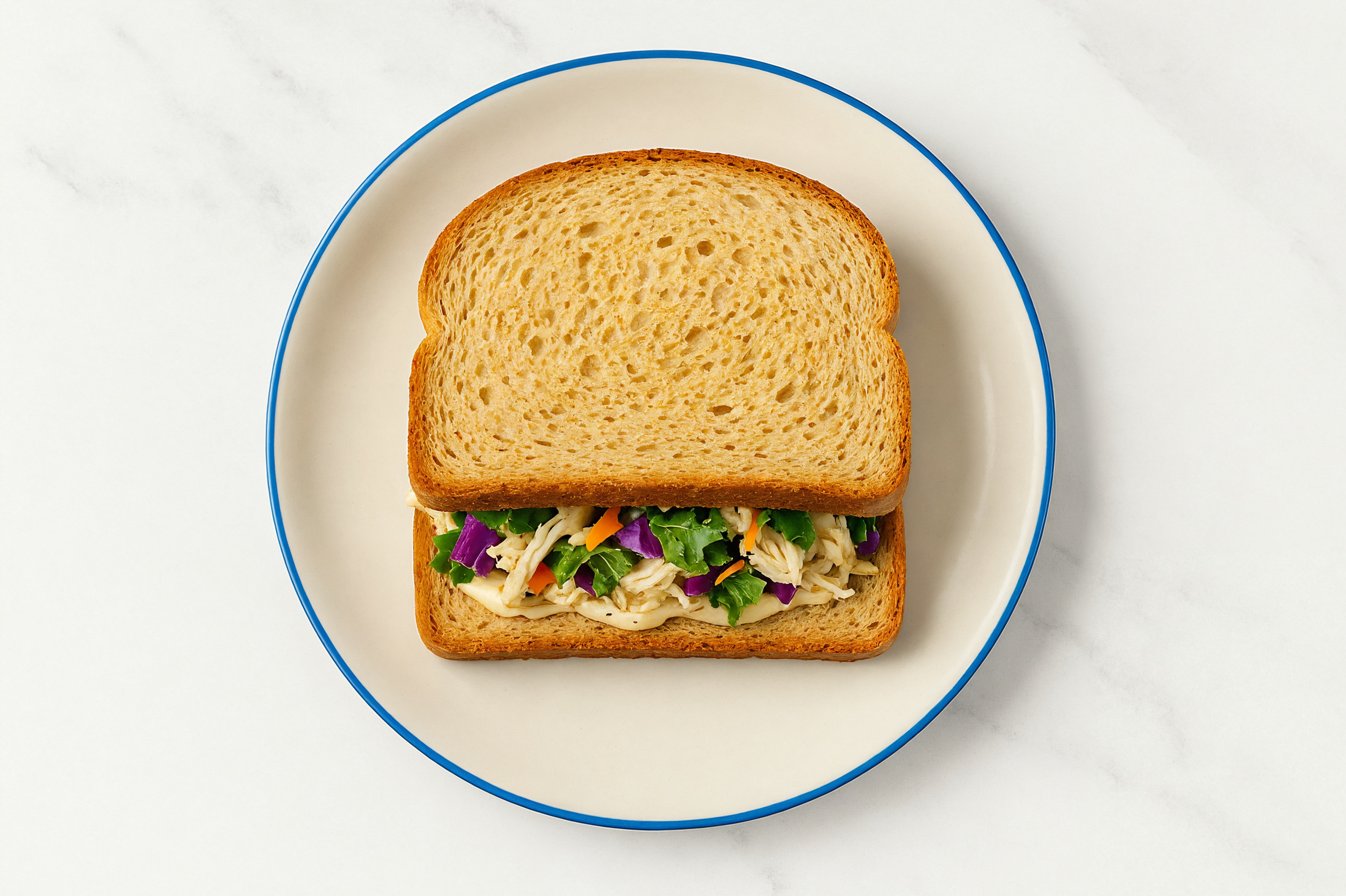 Pulled Chicken & Vegan Garlic Sauce Sandwich on White