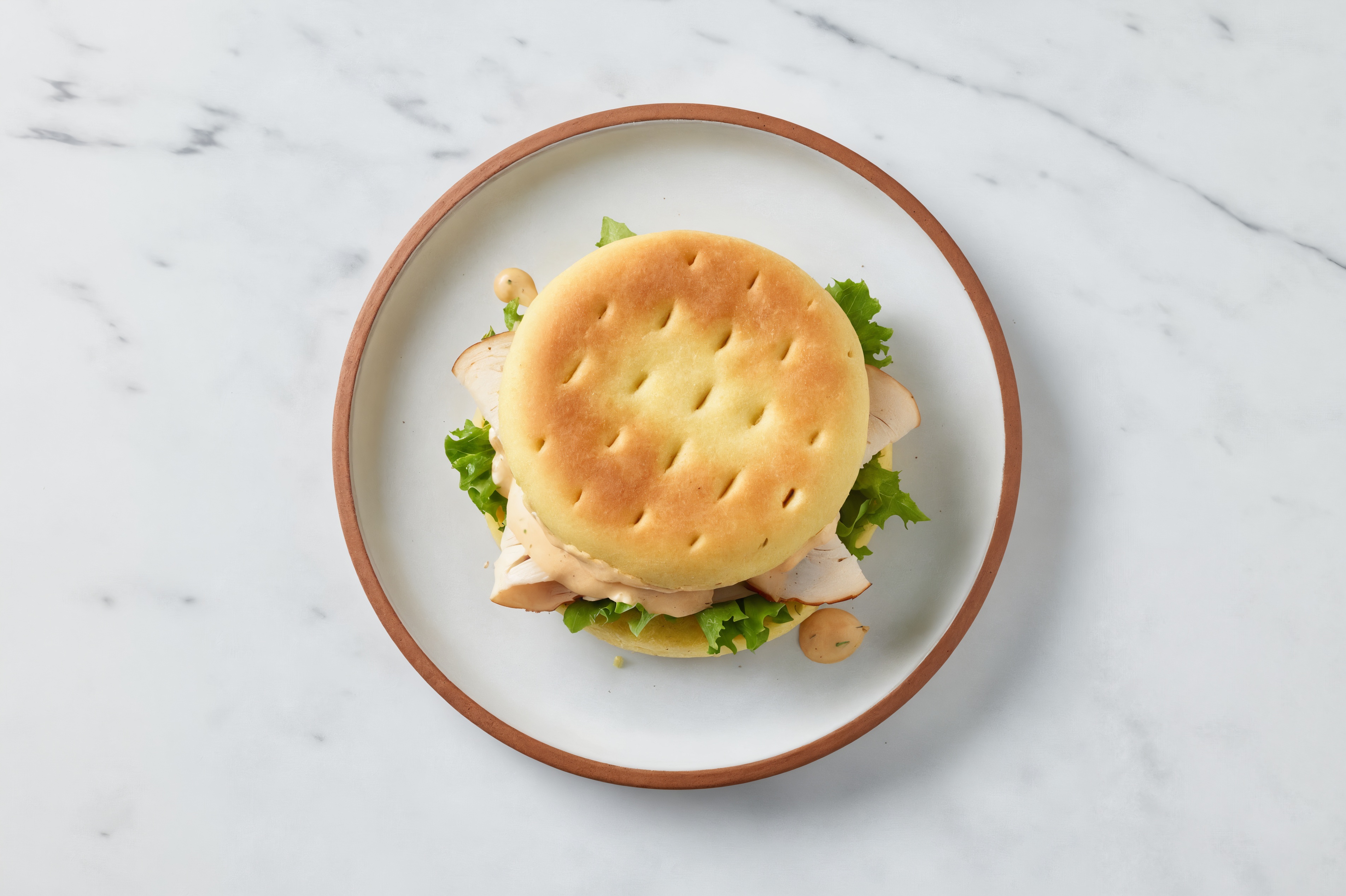 Chicken + Lettuce Sandwich with Brioche Buns + Sauce