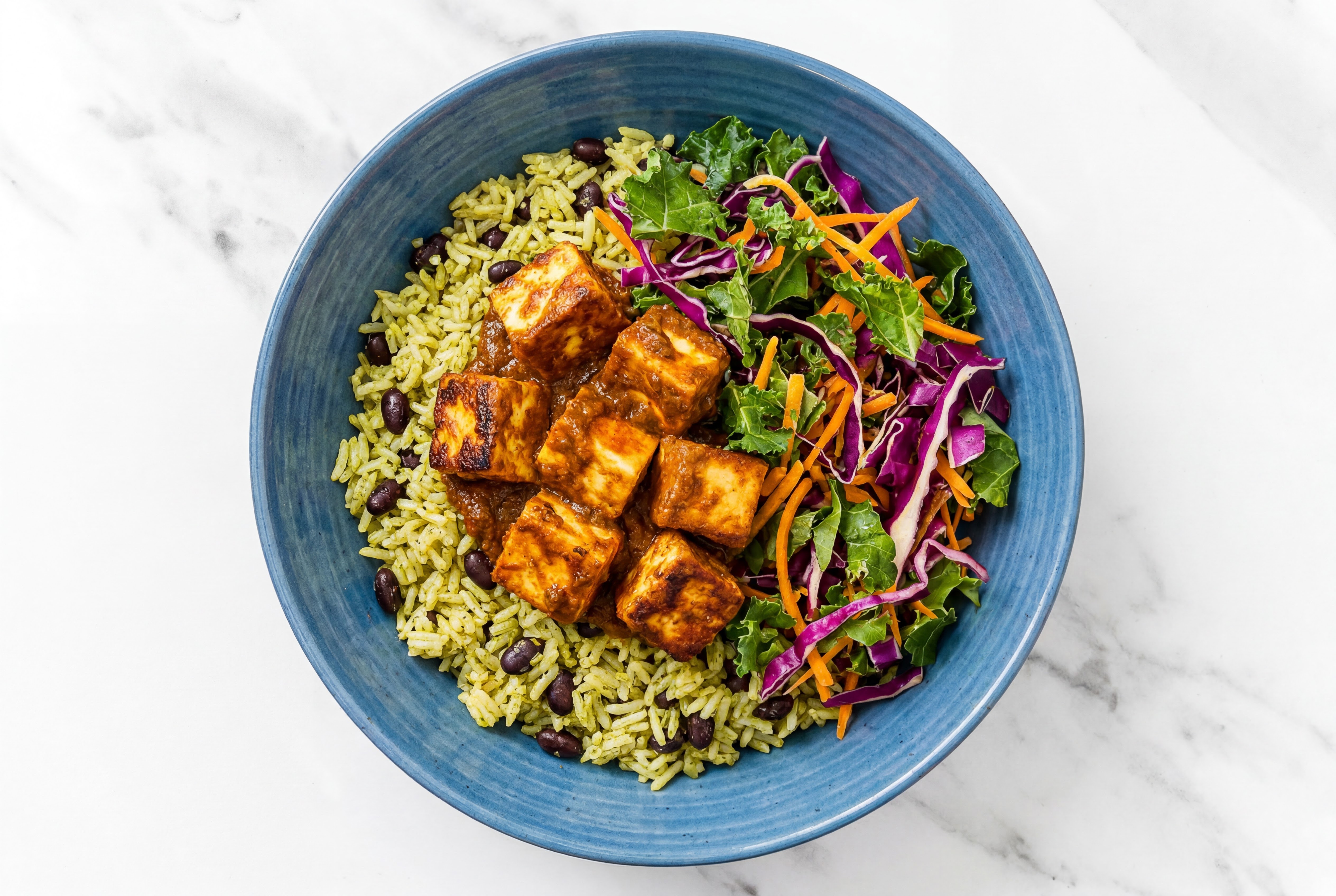 Tandoori Paneer with Rice with Beans + Veggies