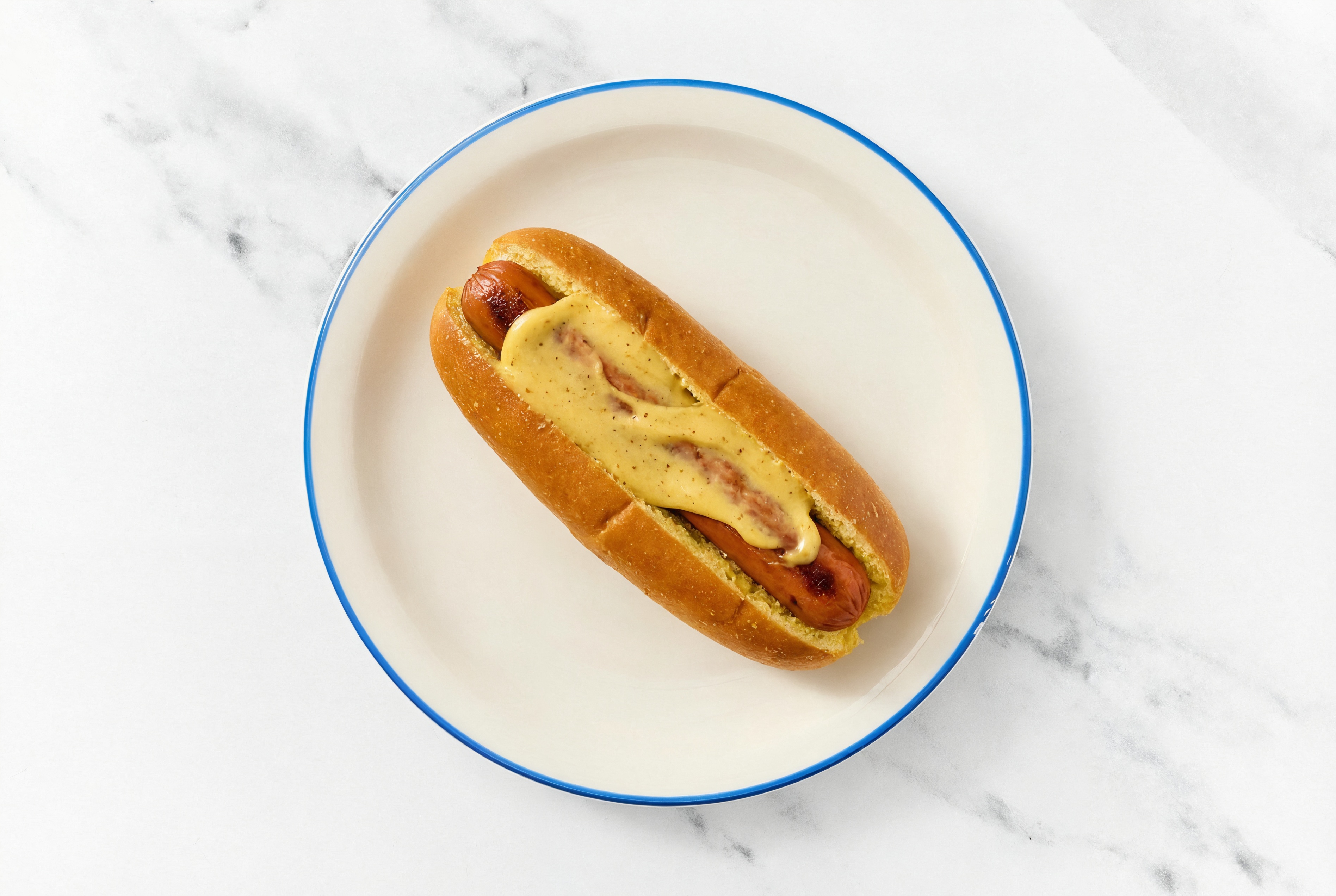 Smart Dog with Honey Mustard on Brioche