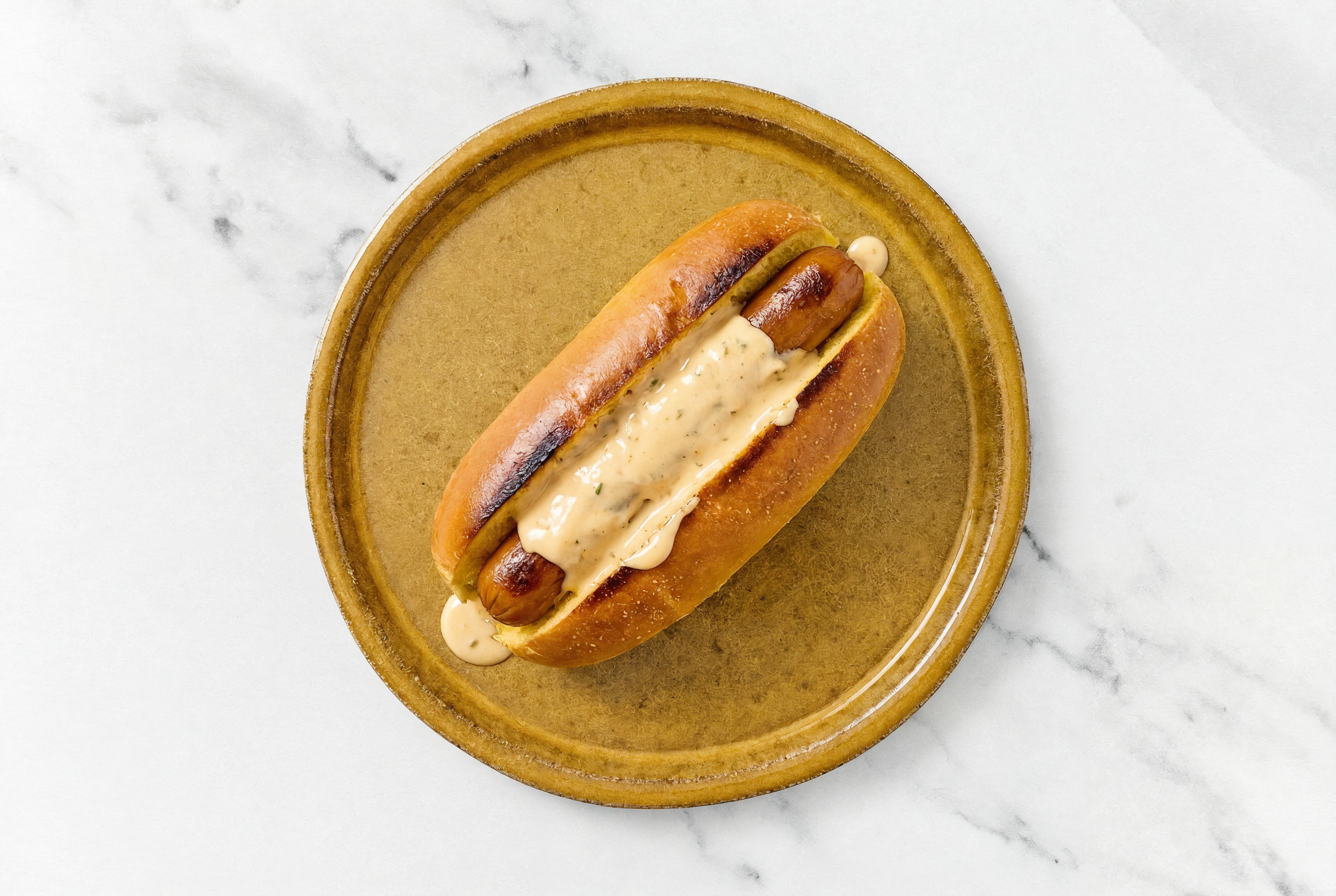 Smart Dog with Awesome Sauce on Brioche