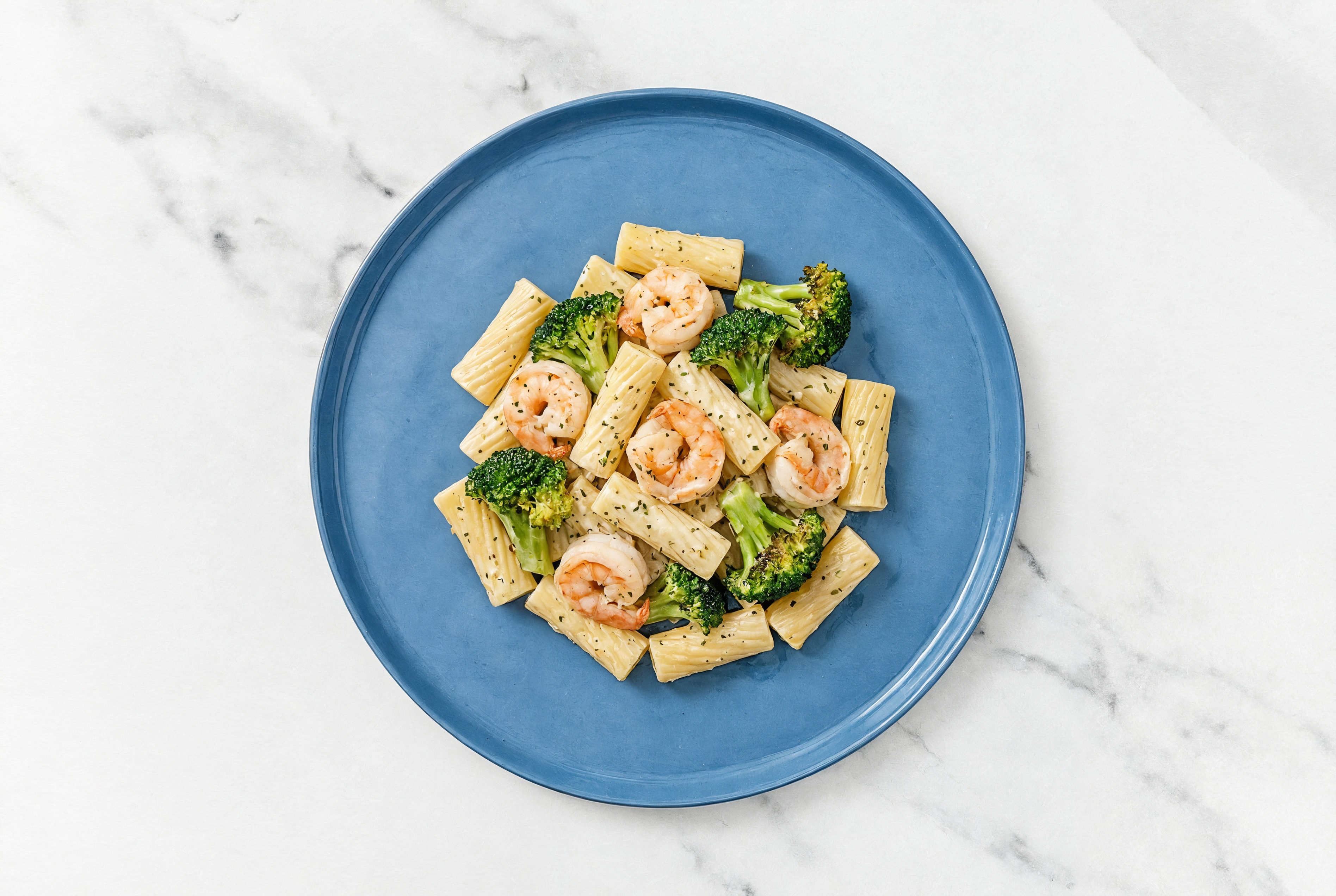Creamy Garlic Shrimp + Broccoli Florets Rigatoni Pasta