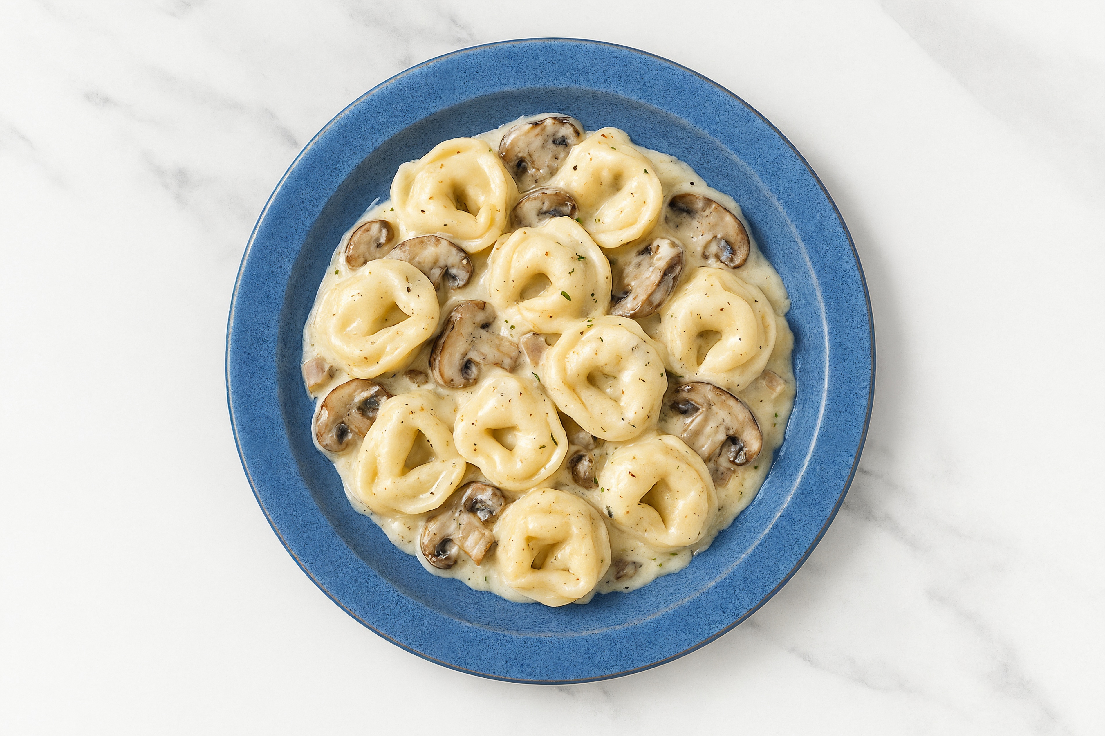 Cheese Tortelloni + Mushroom Alfredo Sauce