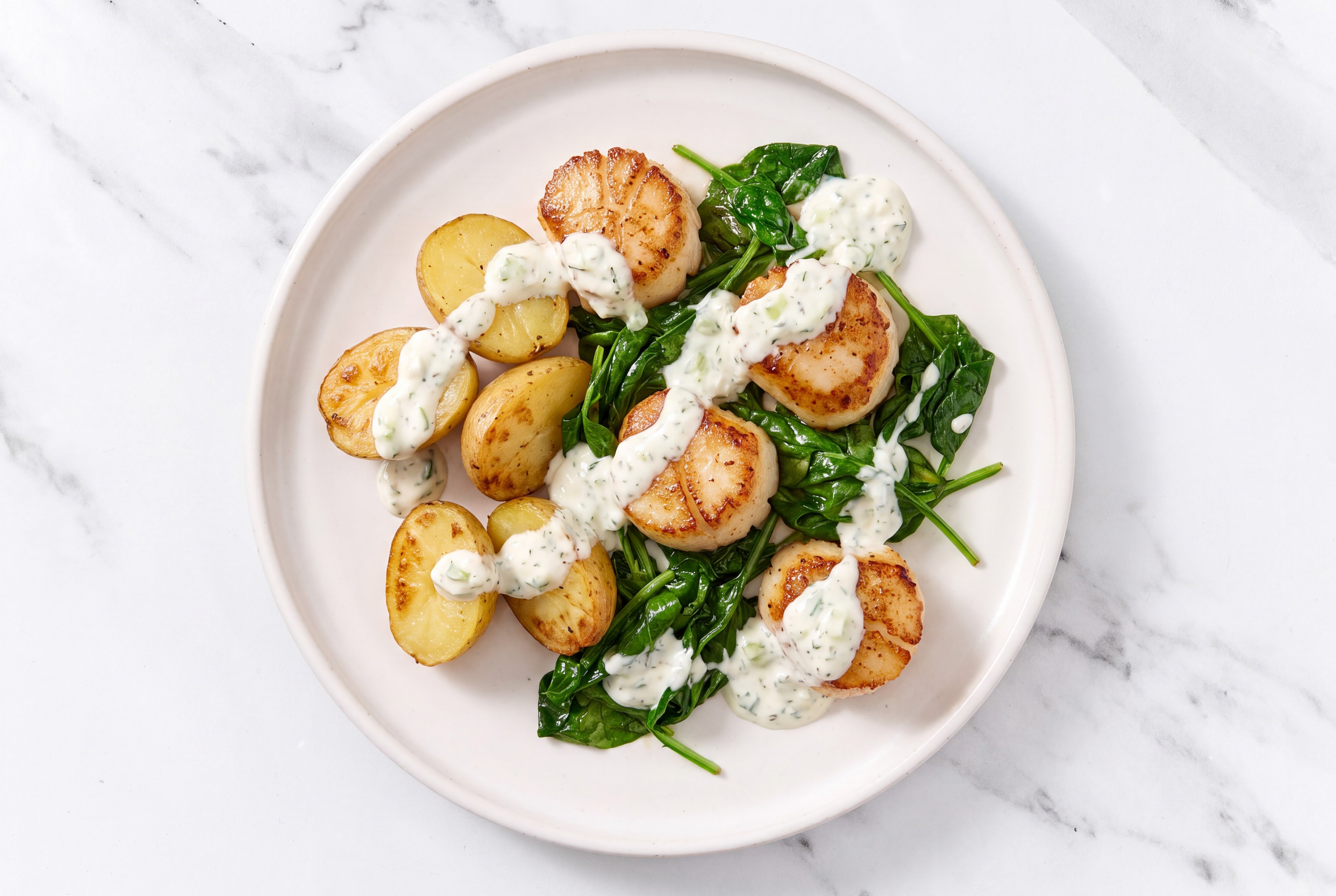 Tzatziki Jumbo Scallops with Organic Potatoes