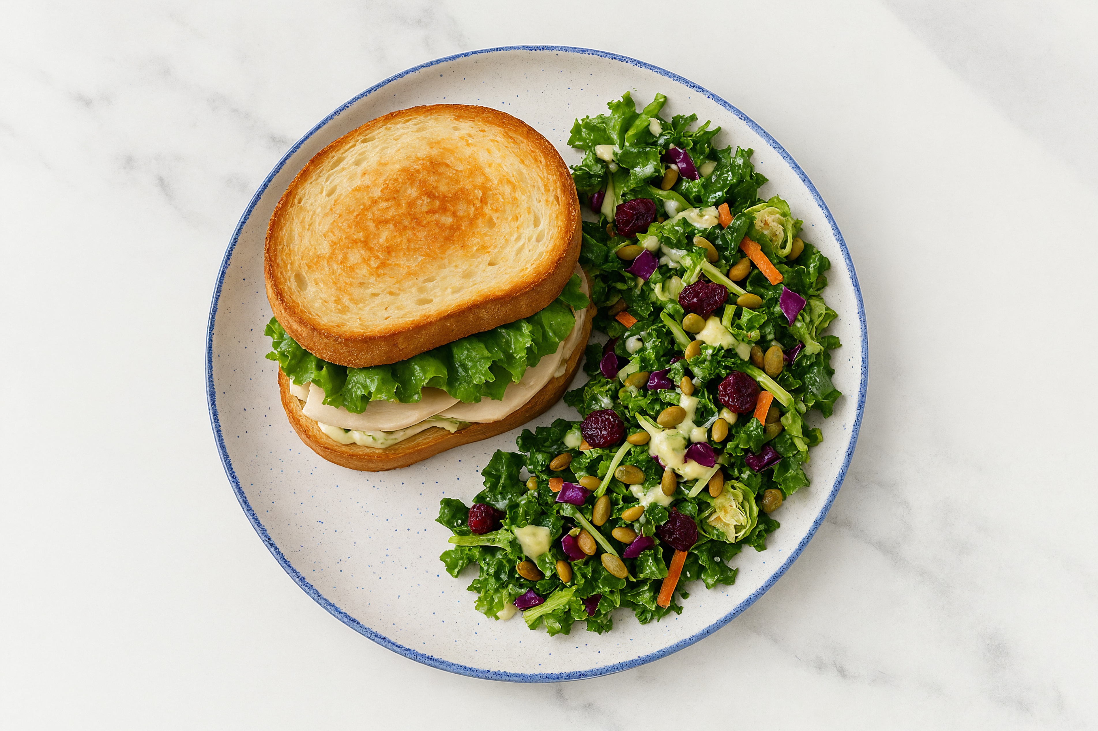 Chicken Sandwich with Creamy Pickle Sauce + Kale Salad