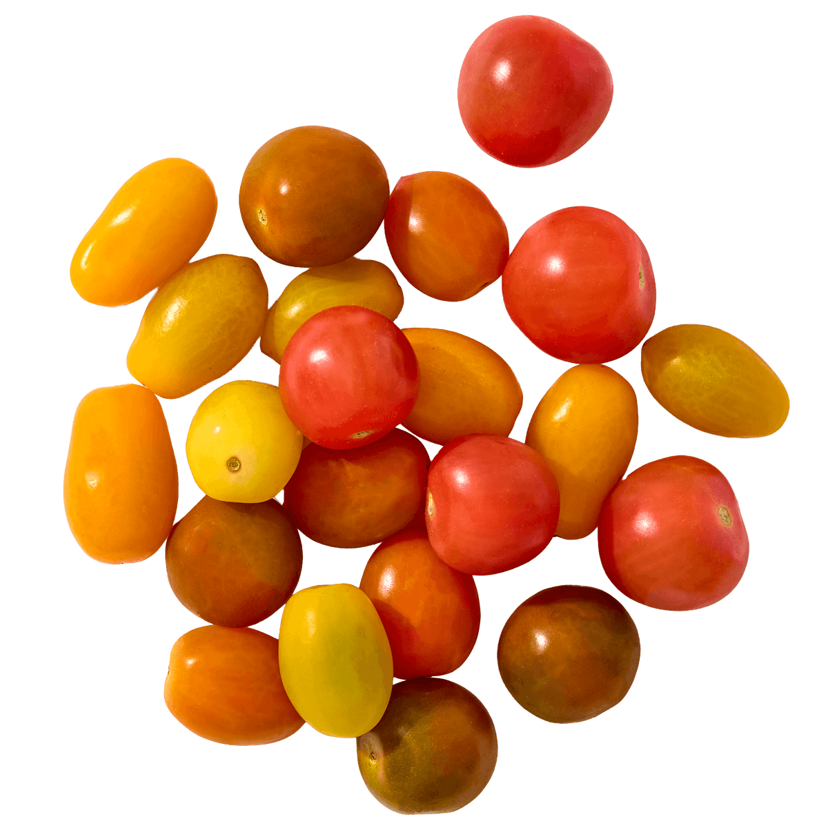 Heirloom Medley Tomatoes 2 of 2