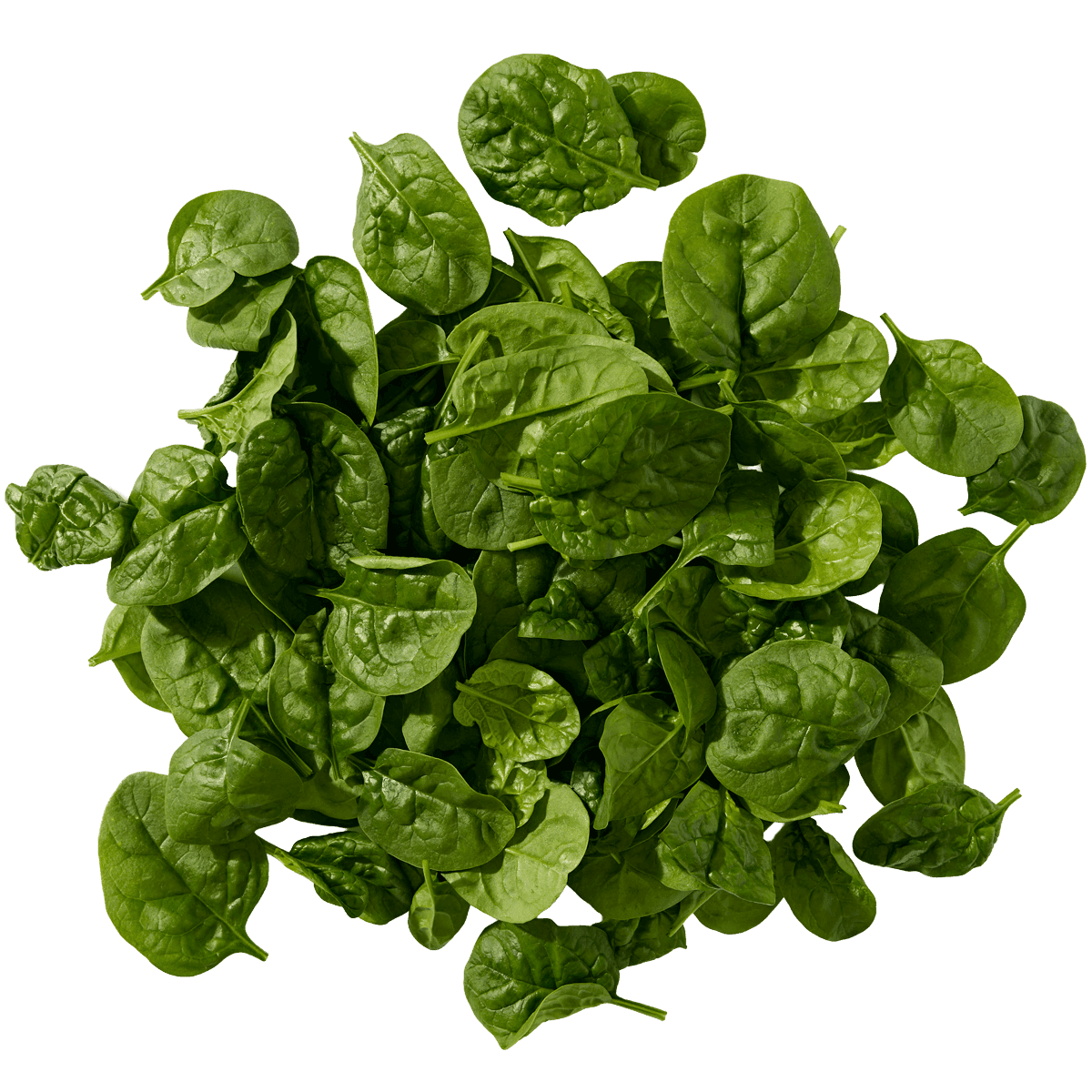 Baby Spinach 2 of 2