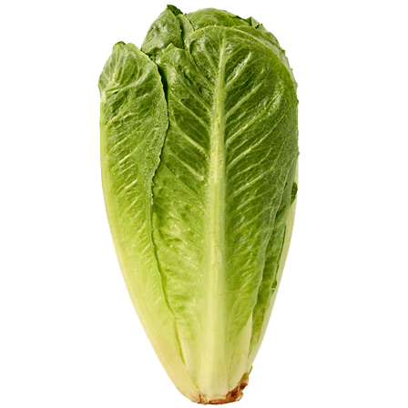 food-img