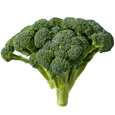 food-img