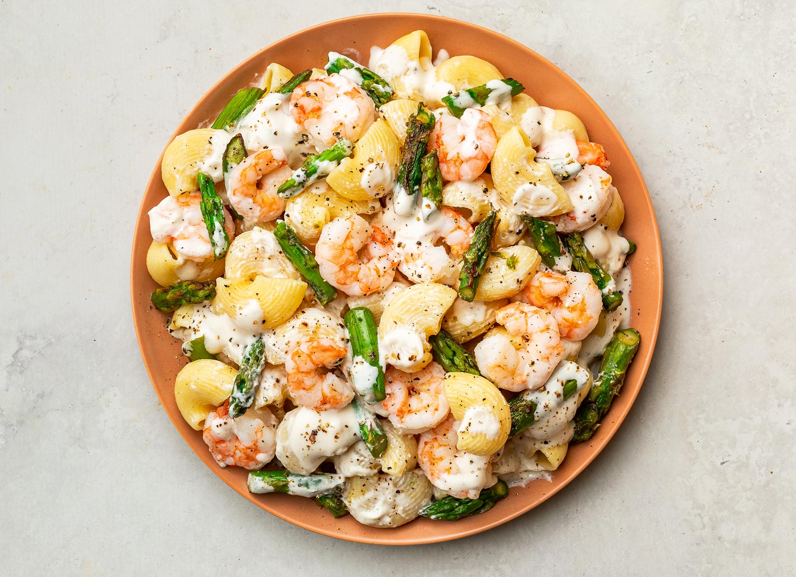 Alfredo Shrimp Chiocciole Pasta Primavera