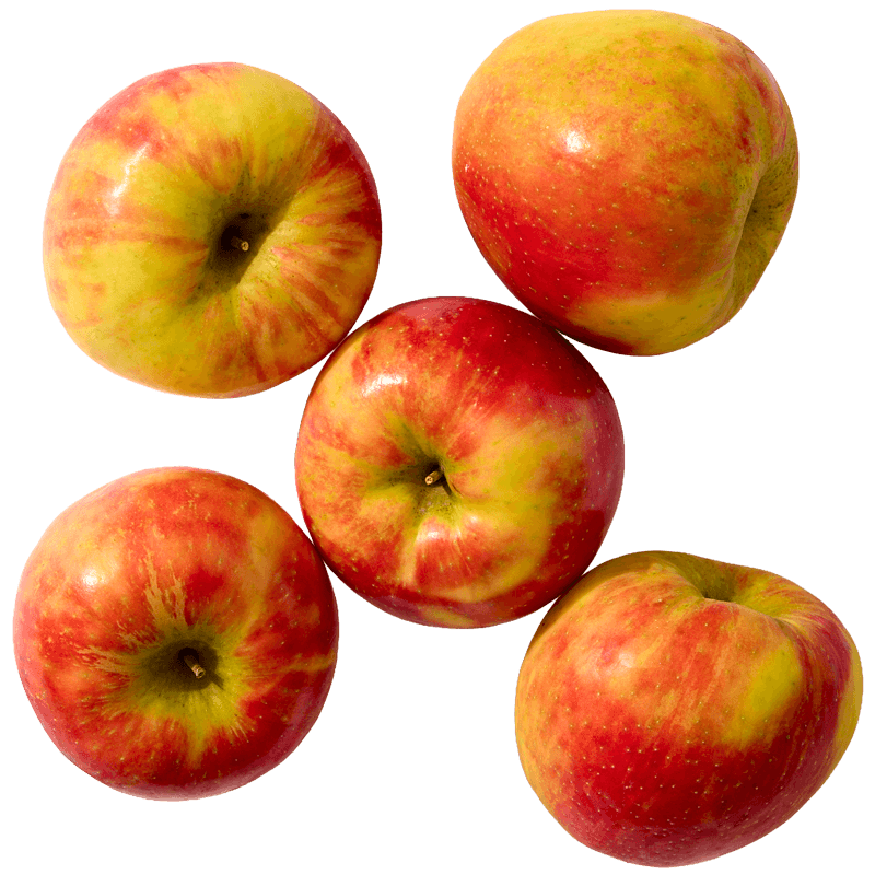 food-img