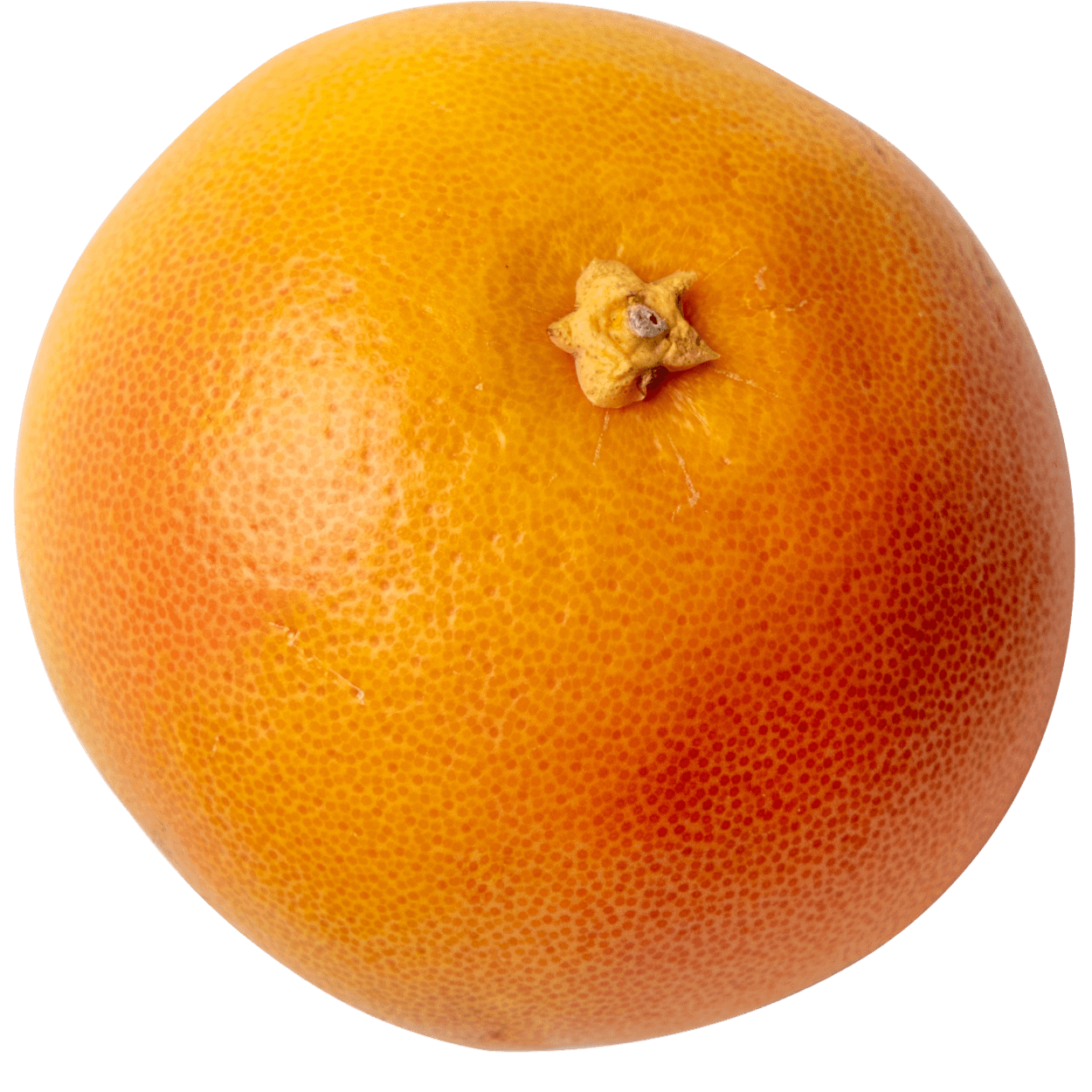 Ruby Red Grapefruit 2 of 2