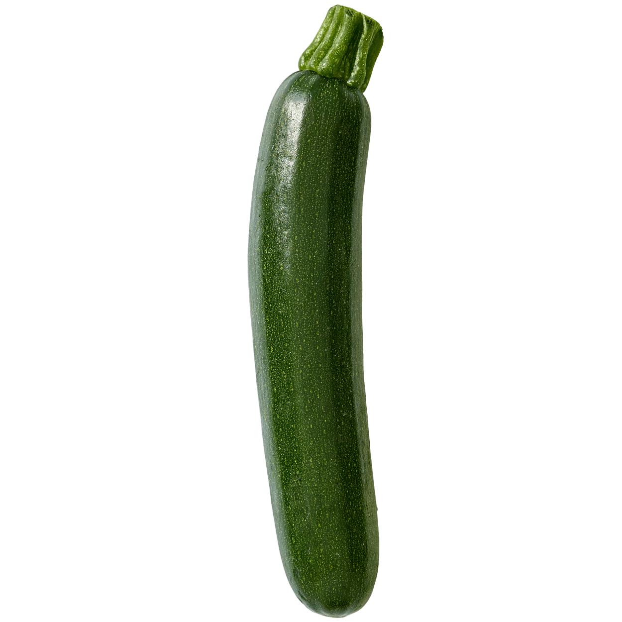 Organic Zucchini 2 of 2